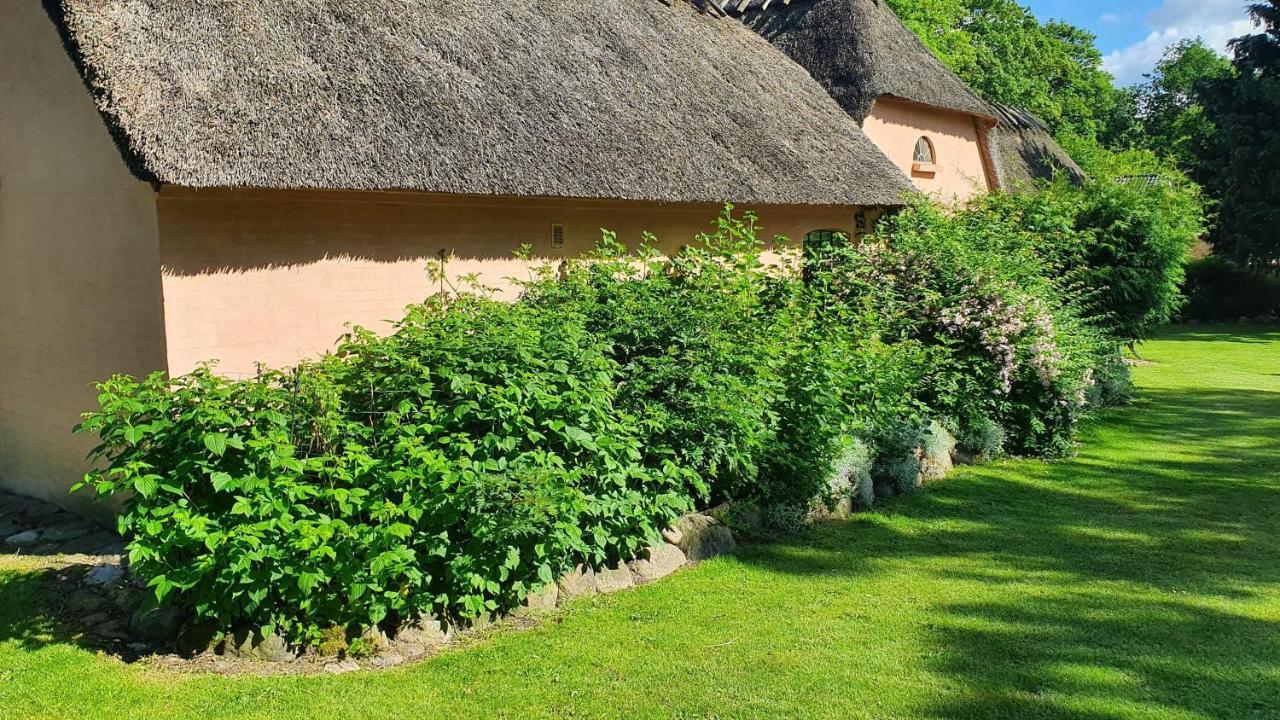 Liebhaveri I Saerklasse Årup Εξωτερικό φωτογραφία